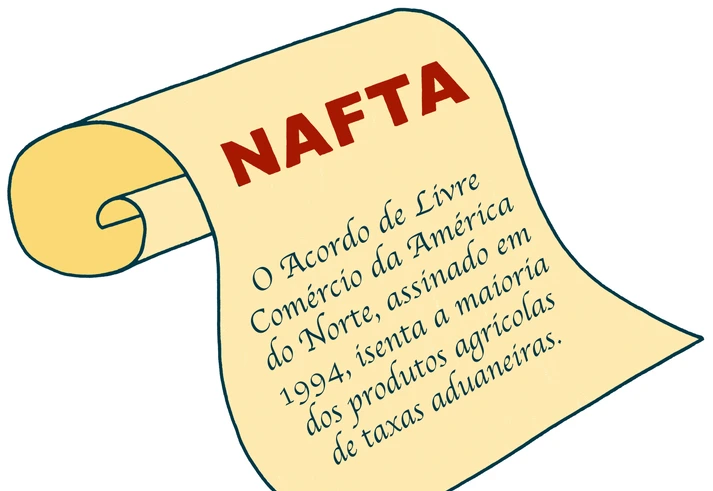 A moda do abacate e seus impactos indesejados